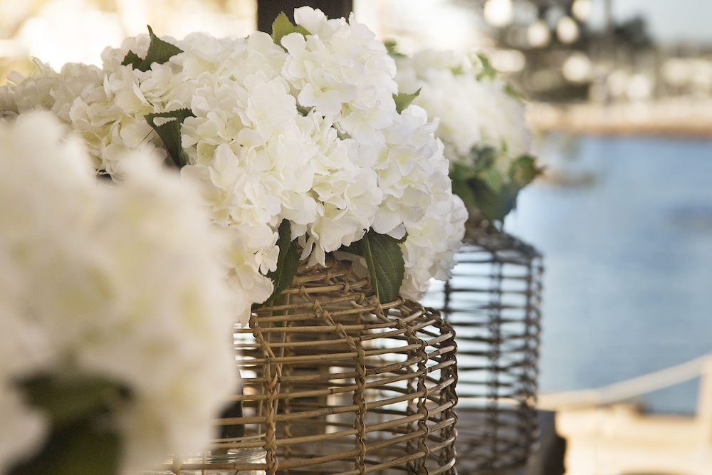 Catalonia Royal Ses Estaques - Adults Only — Restaurant & bars in Santa Eulalia, Balearic Islands