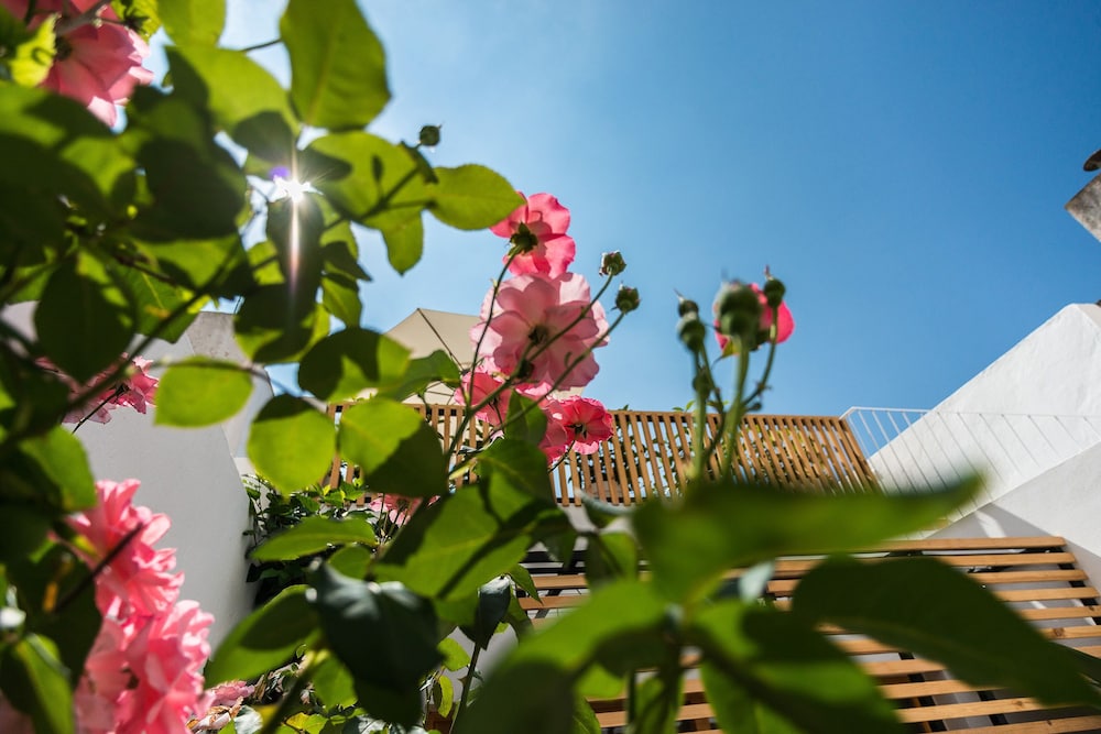 Sodium Hotel Boutique — Hotel building in Ciutadella de Menorca, Balearic Islands