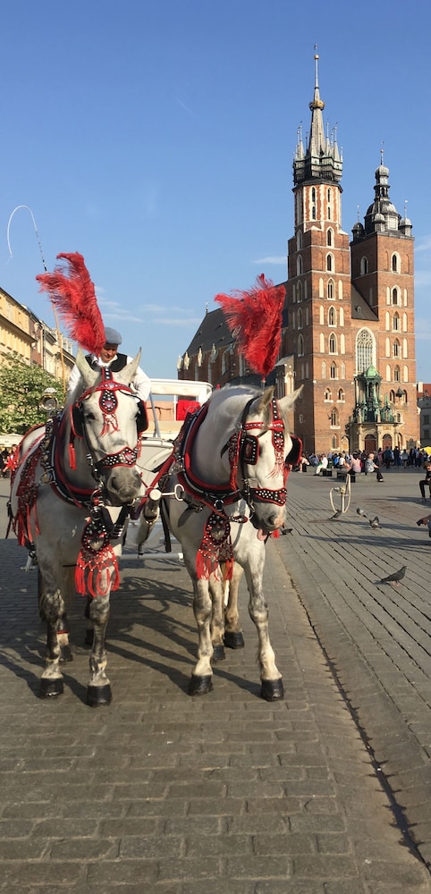 Antique Apartments - Plac Szczepanski — Attractions in the area in Krakow, Lesser Poland