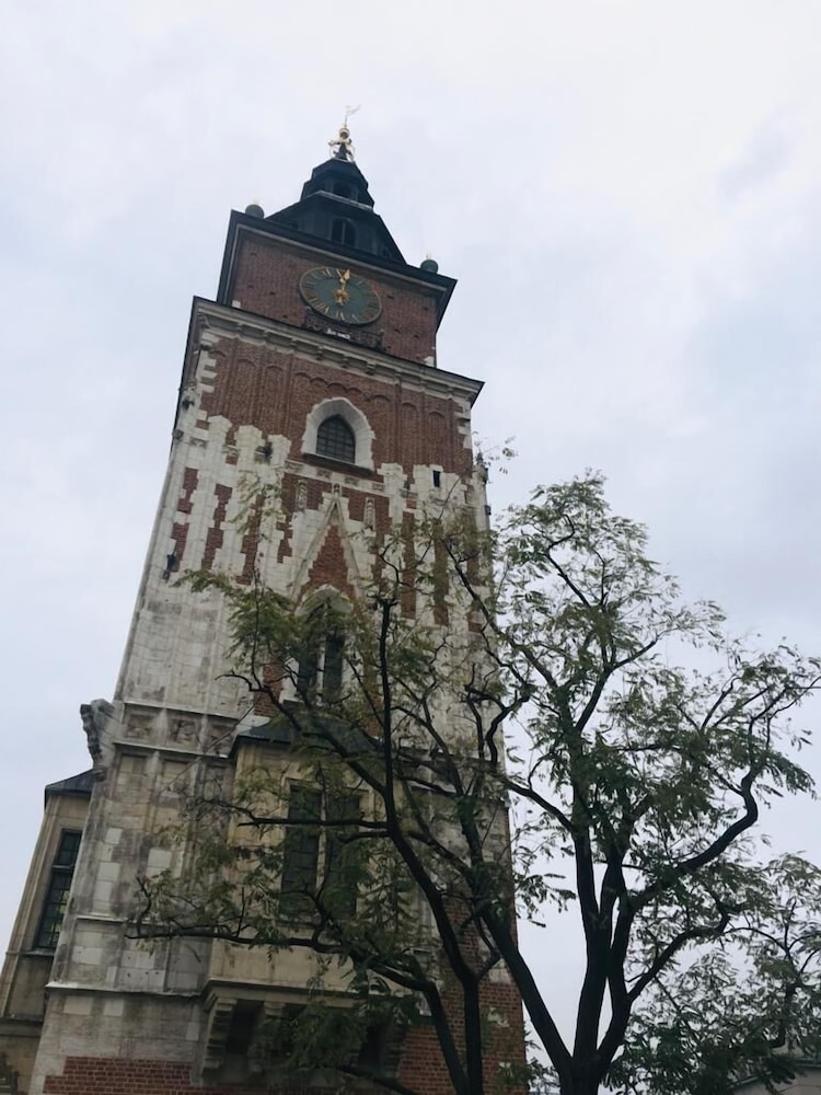 Antique Apartments - Plac Szczepanski — Attractions in the area in Krakow, Lesser Poland
