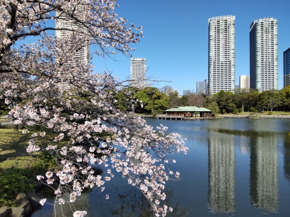 Park Hotel Tokyo — Attractions in the area in Tokyo, Tokyo
