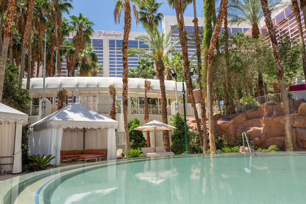Flamingo Las Vegas Hotel & Casino — Pool in Las Vegas, Nevada
