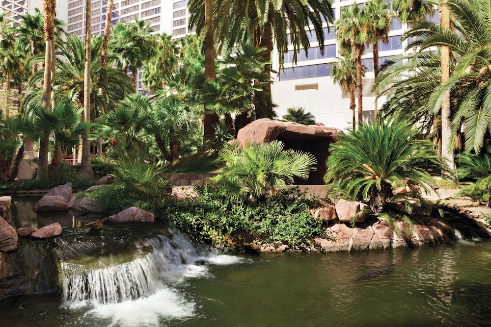 Flamingo Las Vegas Hotel & Casino — Outdoor in Las Vegas, Nevada