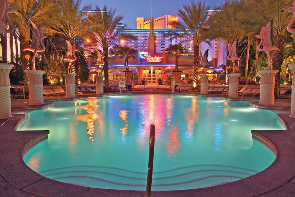 Flamingo Las Vegas Hotel & Casino — Pool in Las Vegas, Nevada