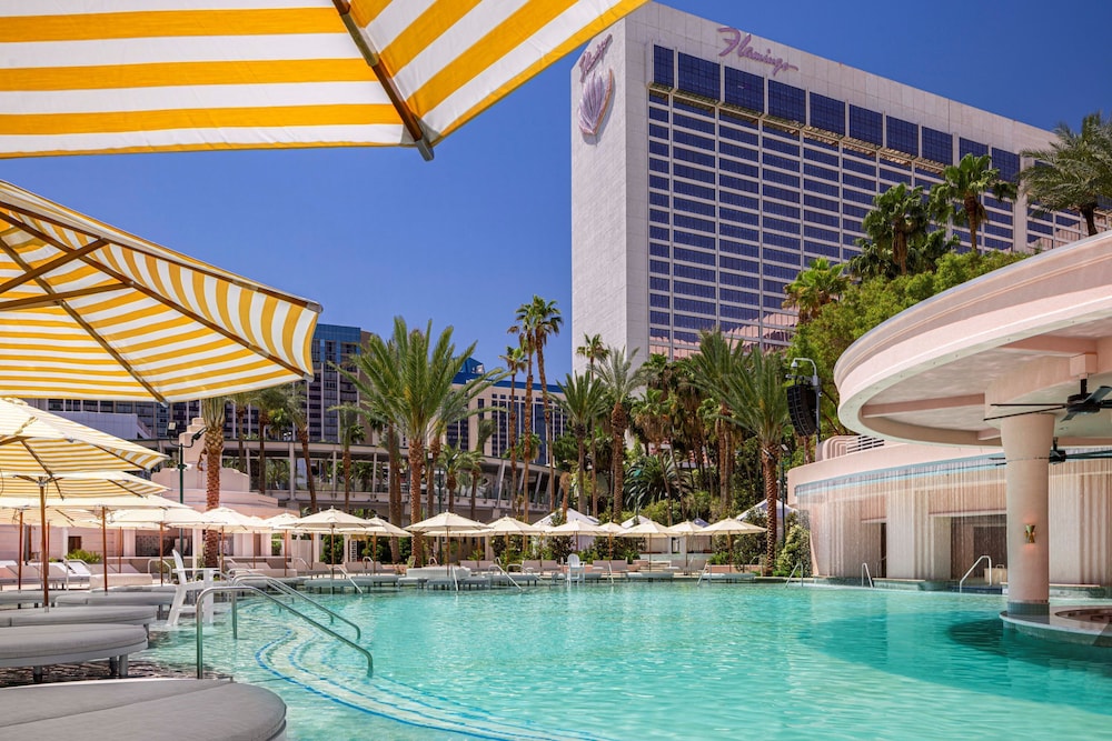 Flamingo Las Vegas Hotel & Casino — Pool in Las Vegas, Nevada