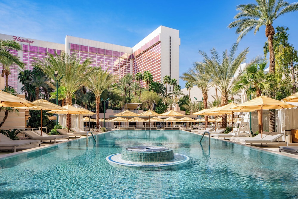Flamingo Las Vegas Hotel & Casino — Pool in Las Vegas, Nevada