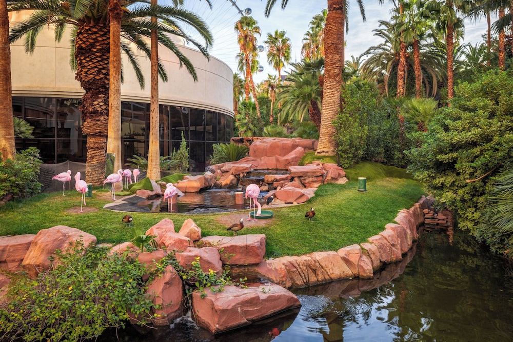 Flamingo Las Vegas Hotel & Casino — Outdoor in Las Vegas, Nevada