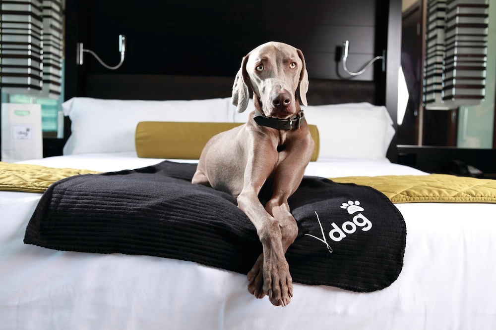 Vdara Hotel & Spa at ARIA Las Vegas — Hotel rooms in Las Vegas, Nevada