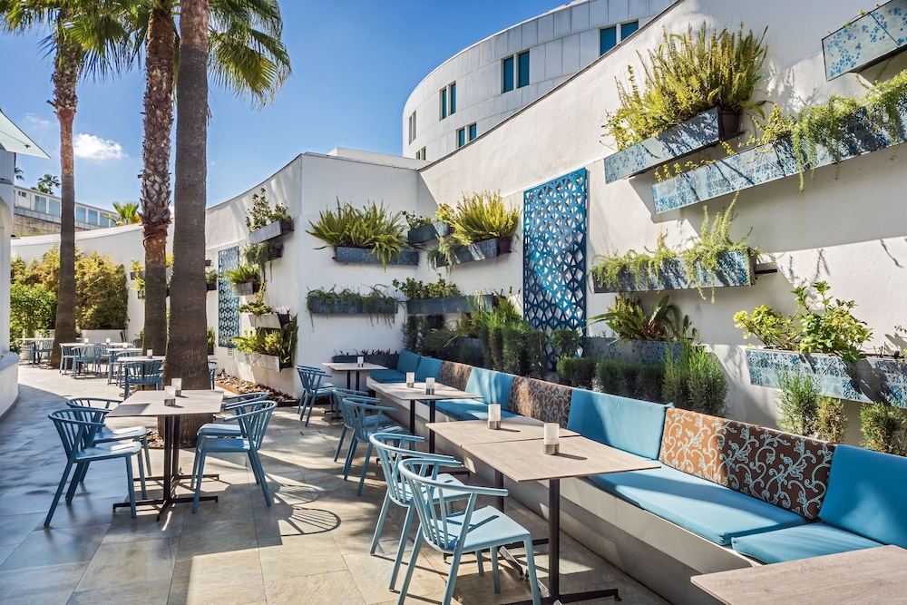 Barceló Sevilla Renacimiento — Restaurant & bars in Seville, Andalusia