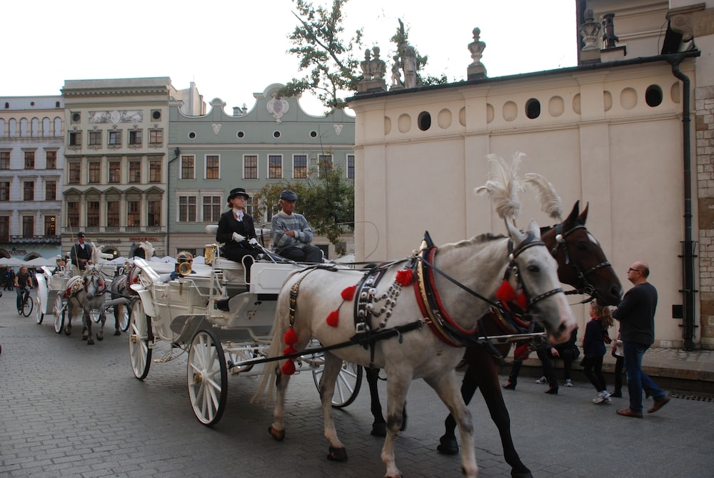 Hotel Kazimierz II — Attractions in the area in Krakow, Lesser Poland