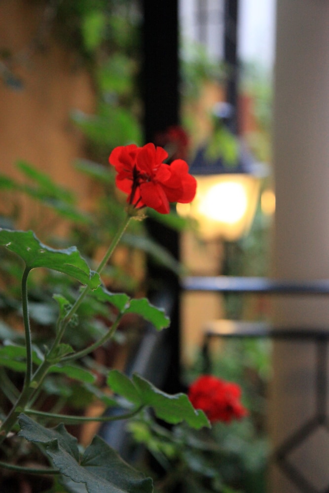 Hotel Cervantes — Restaurant & bars in Seville, Andalusia