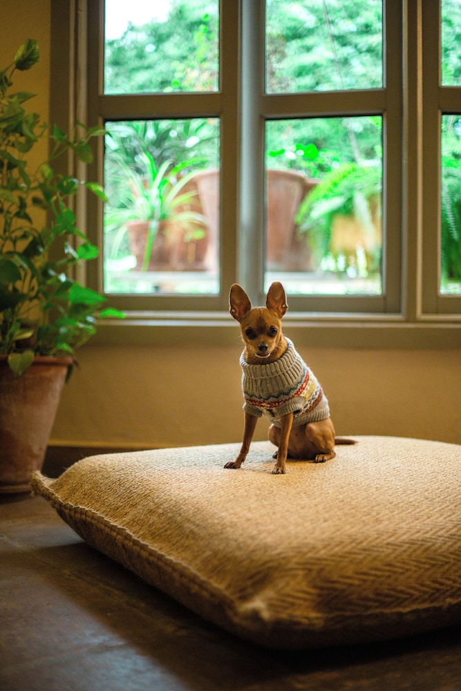 Hospes Las Casas del Rey de Baeza, a Member of Design Hotels — Hotel rooms in Seville, Andalusia