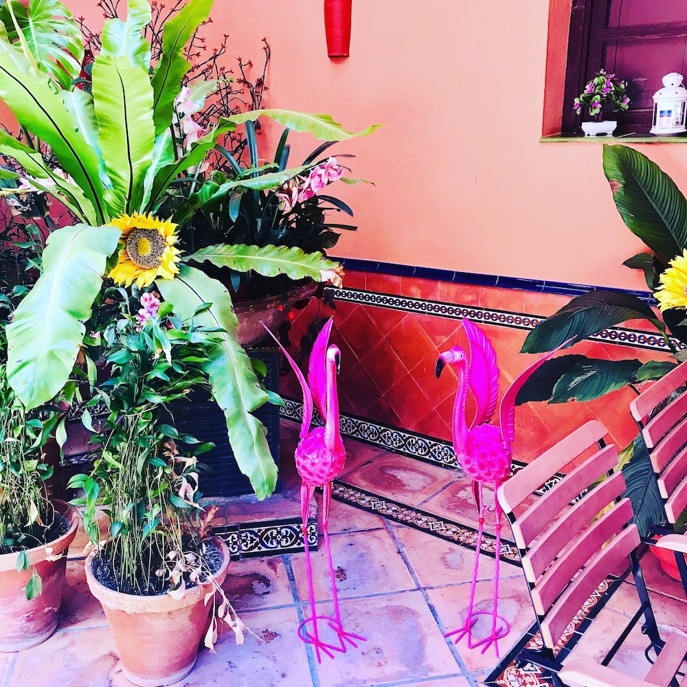 Hotel Patio de la Alameda — Restaurant & bars in Seville, Andalusia