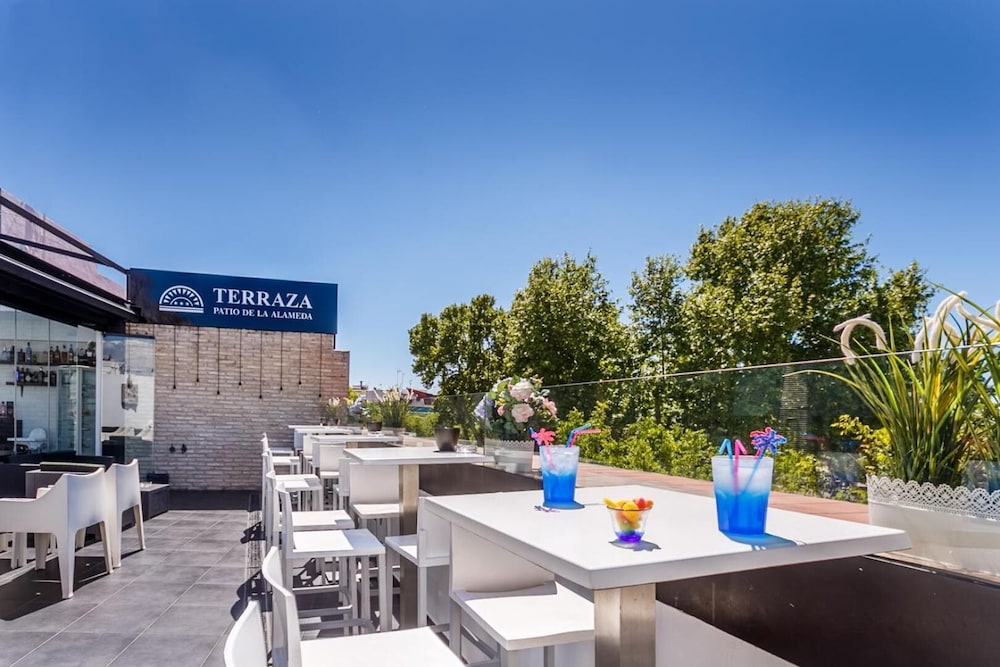 Hotel Patio de la Alameda — Restaurant & bars in Seville, Andalusia