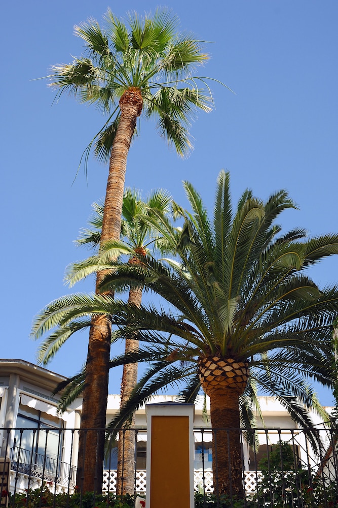 Vincci La Rabida Hotel — Attractions in the area in Seville, Andalusia