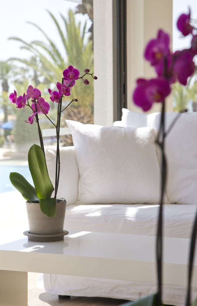 Sandy Beach Hotel & Spa — Hotel rooms in Oroklini, Larnaca Region