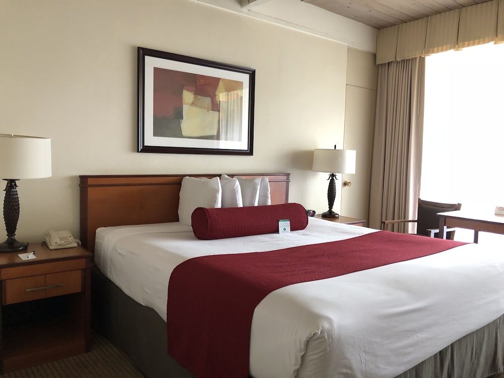 Mikado Hotel - Universal Studios/Burbank — Hotel rooms in North Hollywood, California