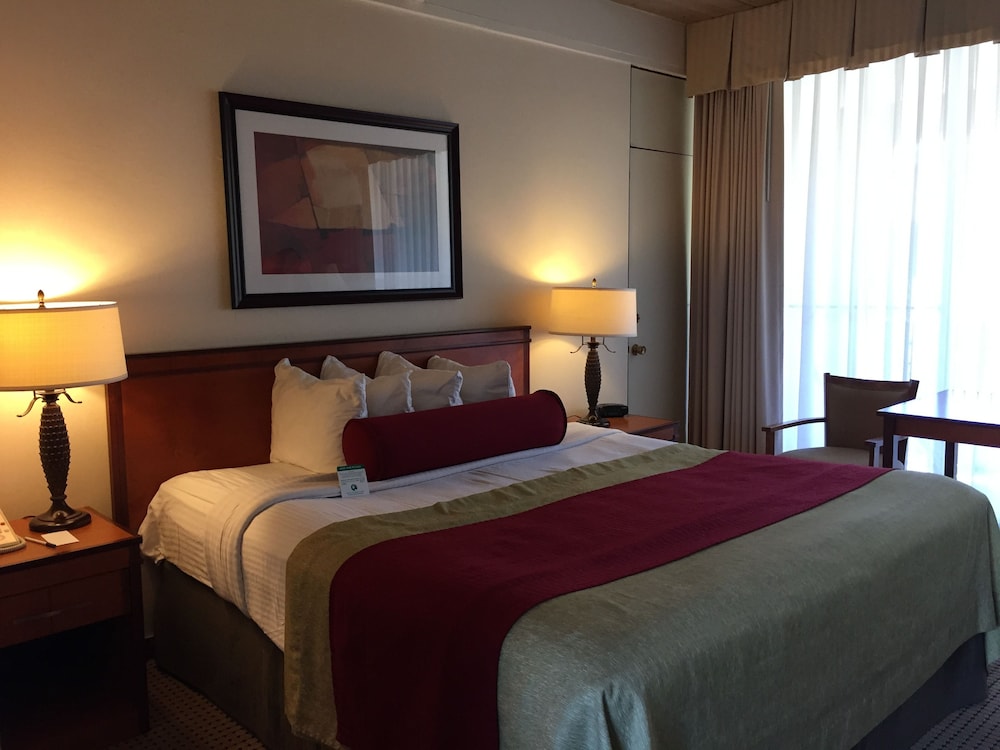 Mikado Hotel - Universal Studios/Burbank — Hotel rooms in North Hollywood, California