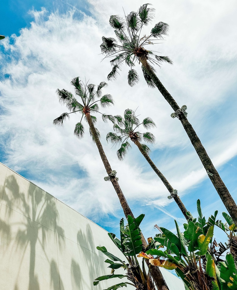 The Beverly Hilton — Hotel building in Beverly Hills, California