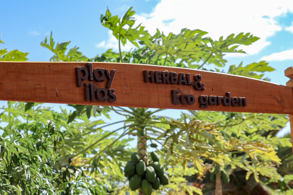 Playitas Hotel - Sports Resort — Attractions in the area in Las Playitas, Canary Islands