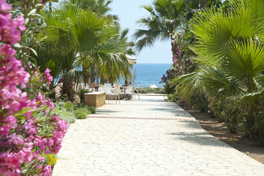 Akti Beach Village Resort — Beach in Chlorakas, Paphos Region