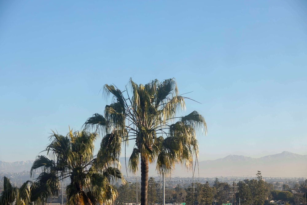Hilton Garden Inn LAX Los Angeles Airport — Attractions in the area in Los Angeles, California