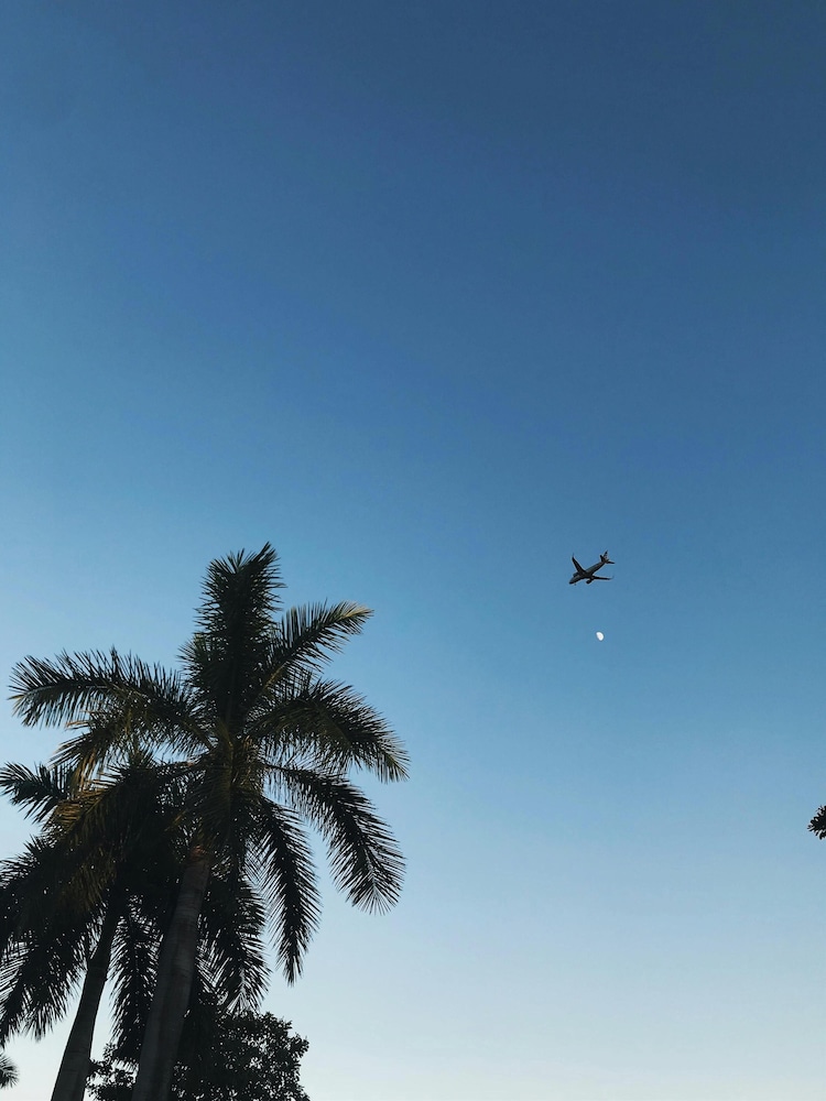 Hyatt Regency Los Angeles International Airport — Beach in Los Angeles, California