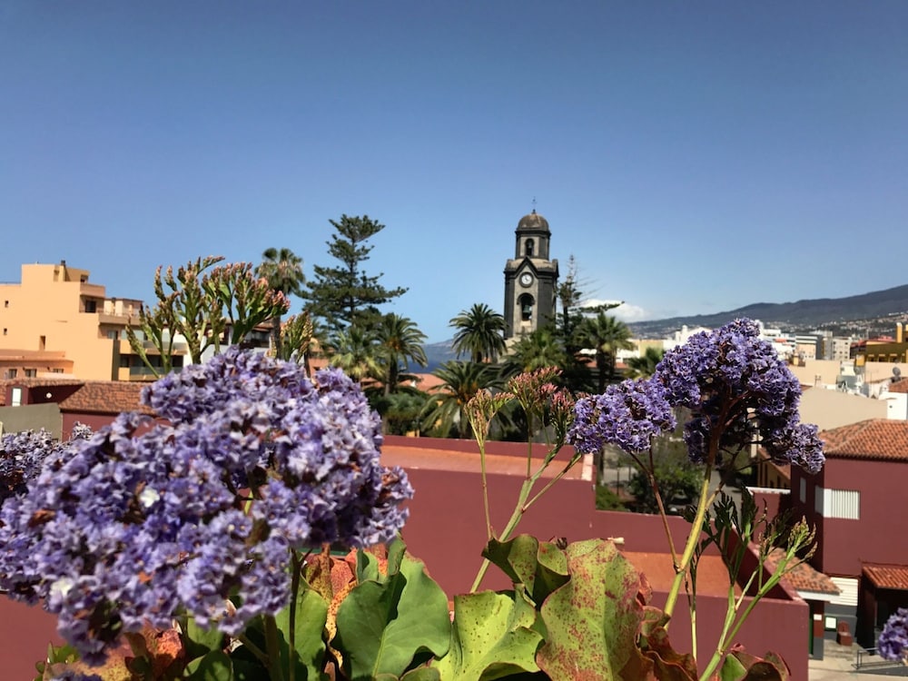 4Dreams Hotel — Attractions in the area in Puerto de la Cruz, Canary Islands