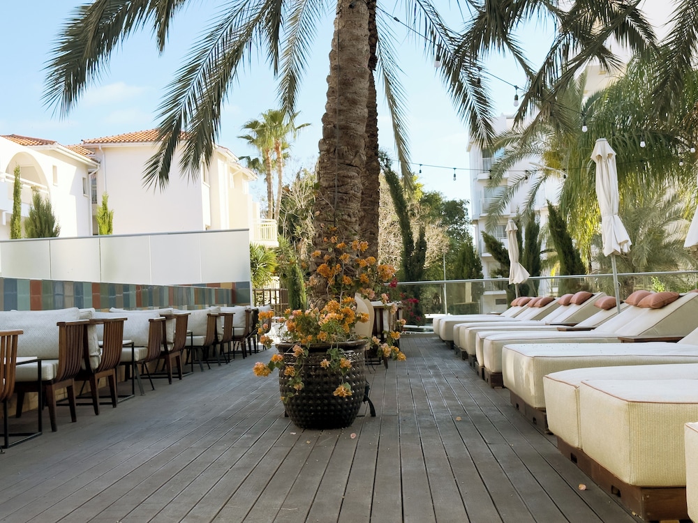 King Jason Paphos - Designed for Adults By Louis Hotels - zdjęcie 5