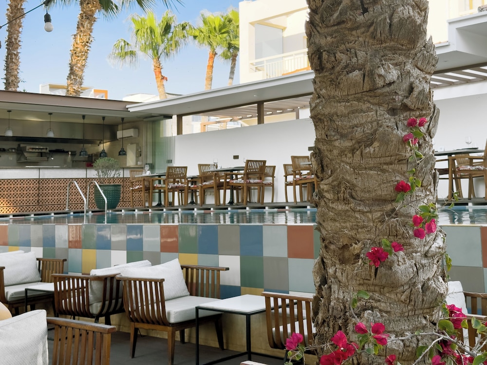 King Jason Paphos - Designed for Adults By Louis Hotels — Restaurant & bars in Paphos, Paphos Region