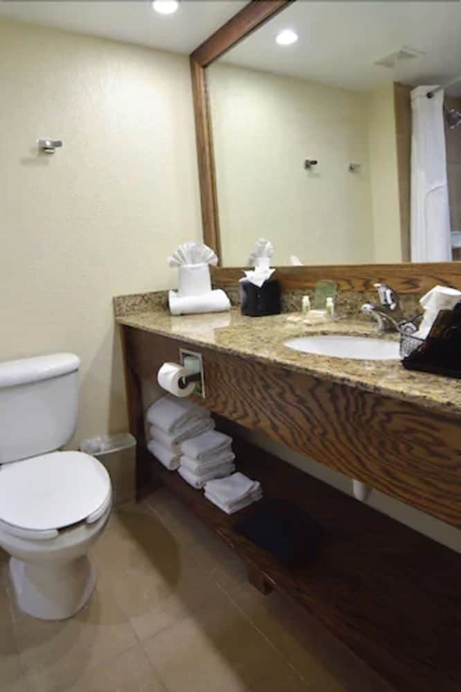 Holiday Inn Fort Myers - Downtown Area by IHG — Hotel rooms in Fort Myers, Florida