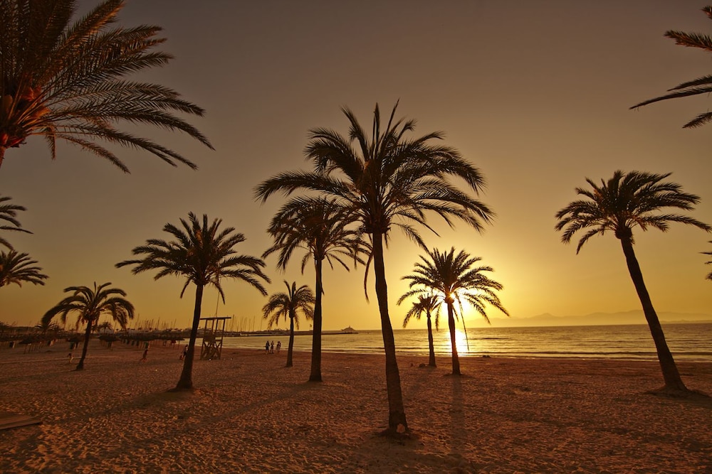 MLL Mediterranean Bay Hotel - Adults Only — Beach in Playa de Palma, Balearic Islands