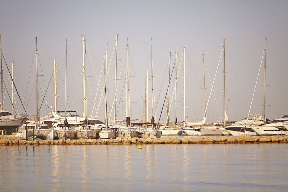 MLL Mediterranean Bay Hotel - Adults Only — Attractions in the area in Playa de Palma, Balearic Islands