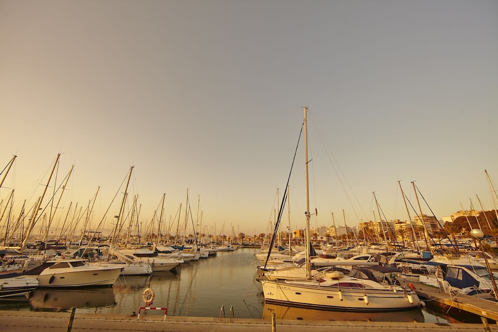MLL Mediterranean Bay Hotel - Adults Only — Attractions in the area in Playa de Palma, Balearic Islands