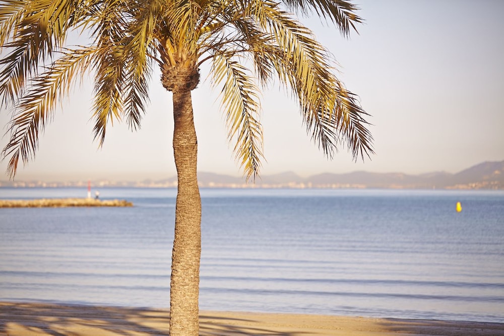 MLL Mediterranean Bay Hotel - Adults Only — Beach in Playa de Palma, Balearic Islands