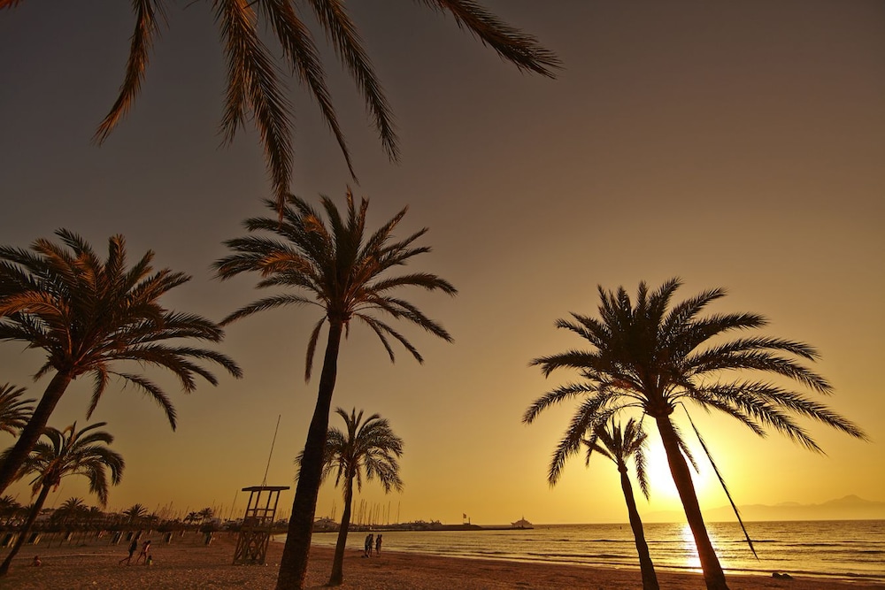MLL Palma Bay Club Resort Hotel — Beach in Playa de Palma, Balearic Islands