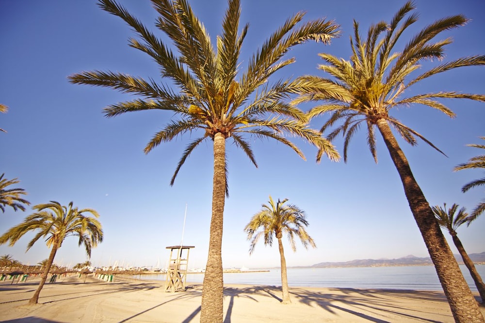 MLL Palma Bay Club Resort Hotel — Beach in Playa de Palma, Balearic Islands