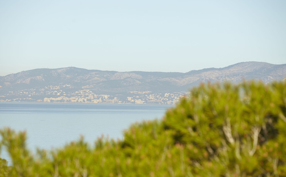 MLL Palma Bay Club Resort Hotel — Attractions in the area in Playa de Palma, Balearic Islands