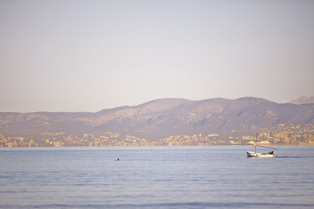 MLL Caribbean Bay Hotel — Attractions in the area in Playa de Palma, Balearic Islands