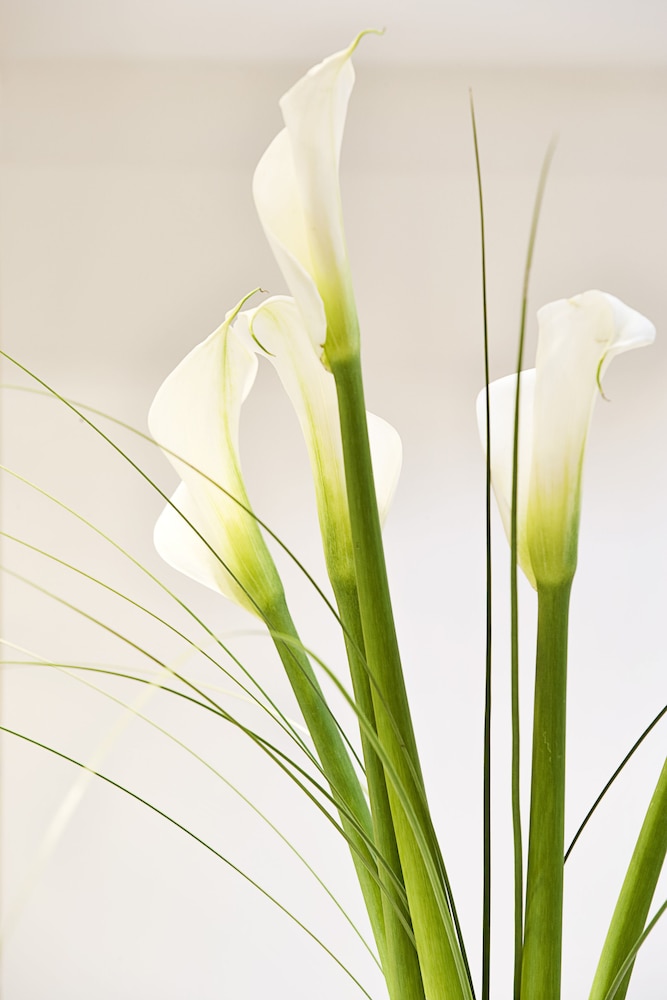 Arion Athens Hotel — Restaurant & bars in Athens, Attica