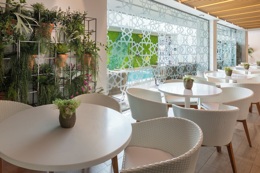 Catalonia Giralda Hotel — Restaurant & bars in Seville, Andalusia