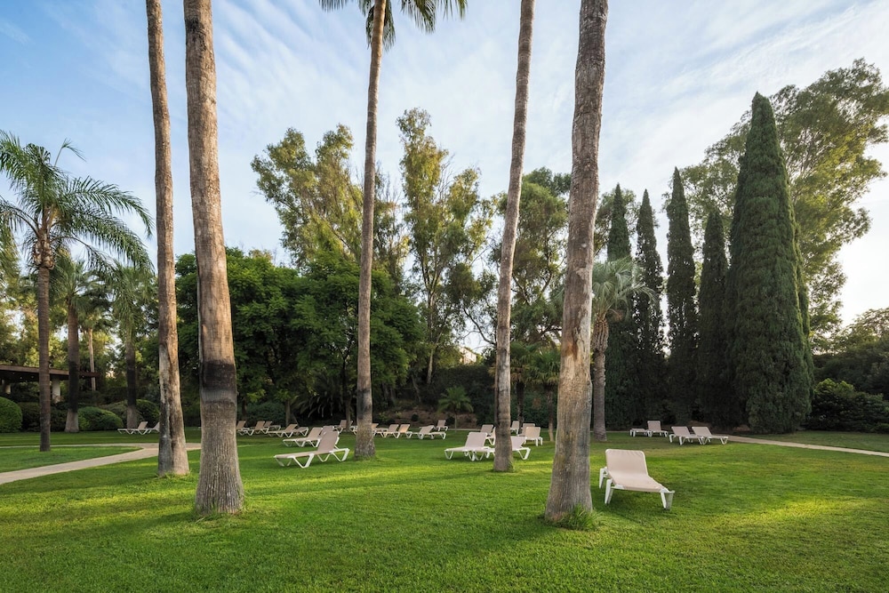 Eurostars Al-Ándalus Palace — Sports & recreation in Seville, Andalusia