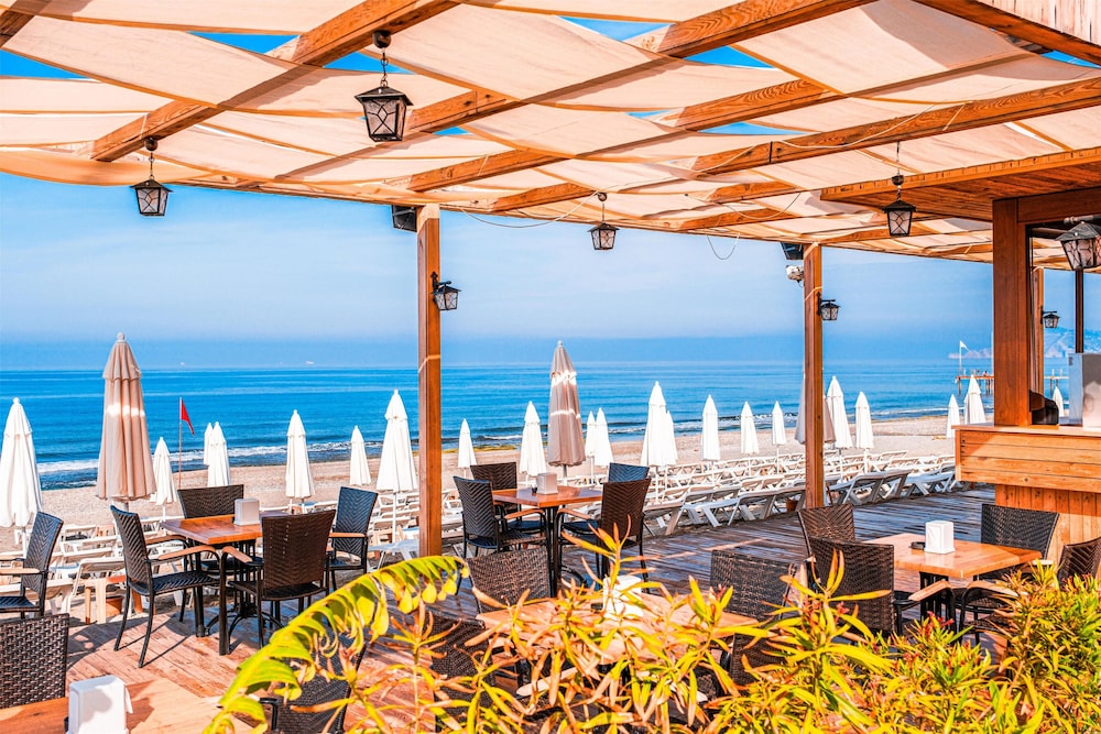 Prestige Alanya ( Ex. Euphoria Comfort Beach Alanya ) - All inclusive — Restaurant & bars in Alanya