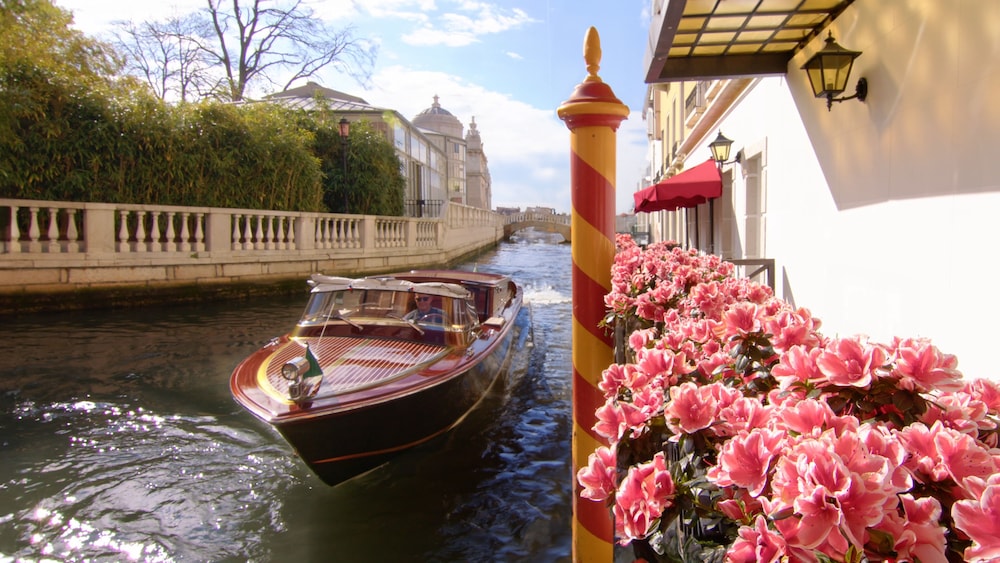 Baglioni Hotel Luna - The Leading Hotels of the World — Attractions in the area in Venice, Veneto