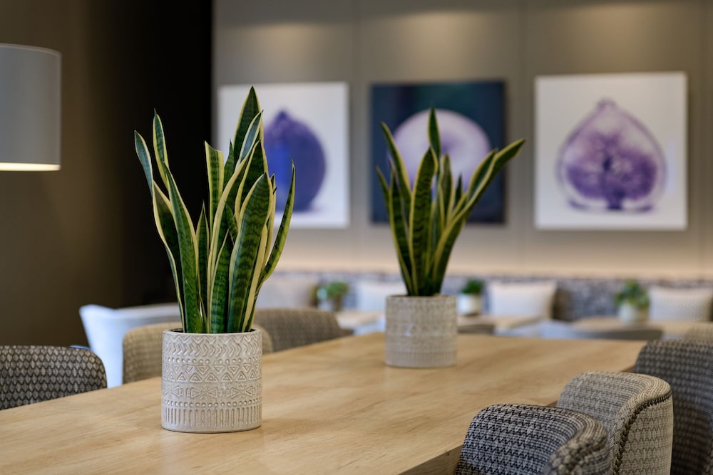 AC Hotel by Marriott Ciutat de Palma — Hotel building in Palma de Mallorca, Balearic Islands