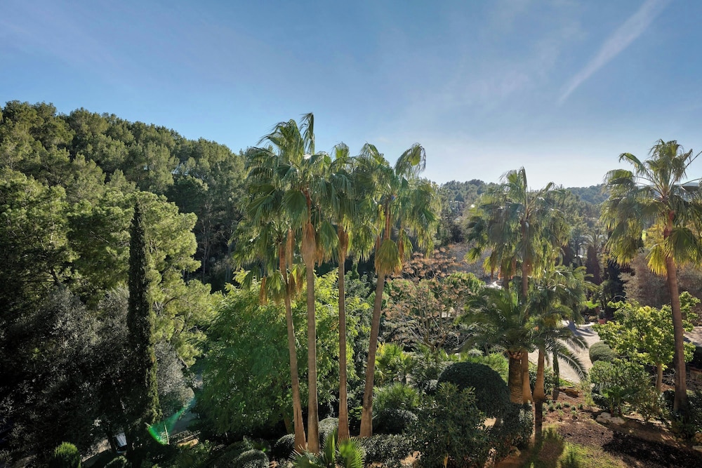 Sheraton Mallorca Arabella Golf Hotel — Attractions in the area in Palma de Mallorca, Balearic Islands