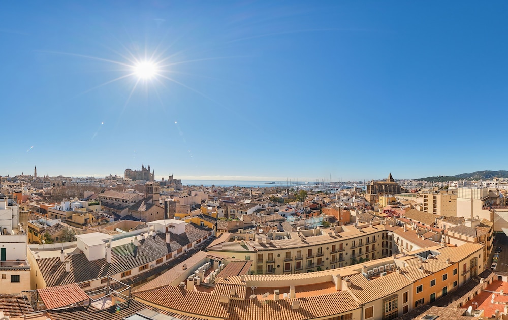 Hotel Almudaina — Attractions in the area in Palma de Mallorca, Balearic Islands