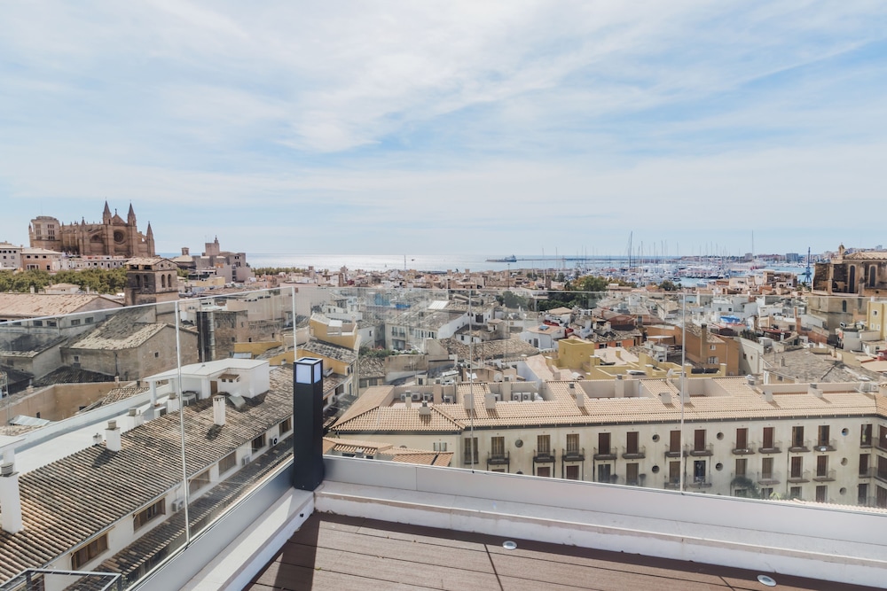 Hotel Almudaina — Attractions in the area in Palma de Mallorca, Balearic Islands