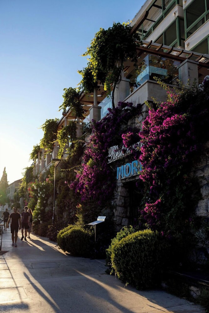 Hotel More — Hotel building in Dubrovnik, Dubrovnik-Neretva