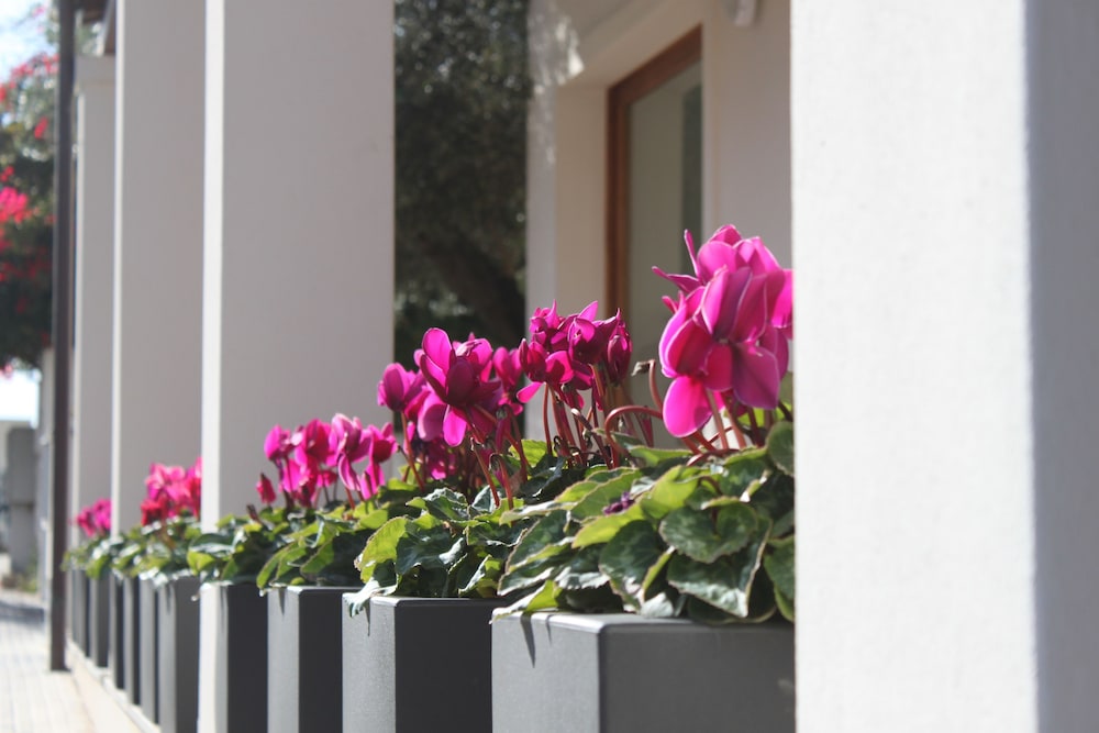 Hotel Angedras — Hotel building in Alghero, Sardinia